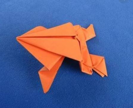 rana salterina origami di carta