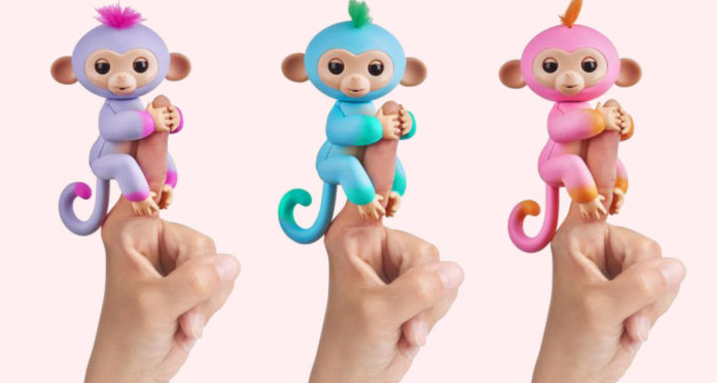 Fingerlings italia prezzo scimmia