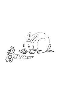 disegni tratteggiati per bambini il coniglio