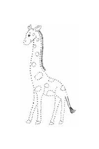disegni tratteggiati per bambini la giraffa