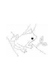 disegni tratteggiati per bambini la rana