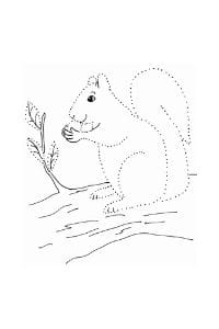 disegni tratteggiati per bambini lo scoiattolo