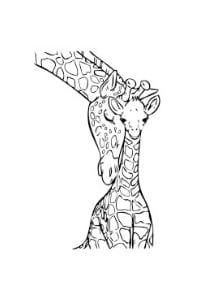 disegni da colorare festa della mamma giraffe