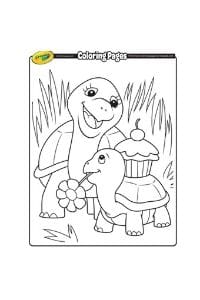 disegni da colorare per bambini di 7 anni tartarughe
