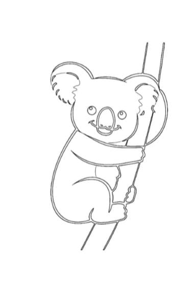 Koala che si arrampica disegno da colorare per bambini PDF A4 bianco e nero