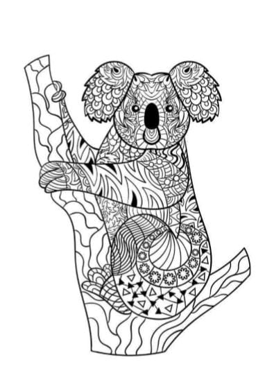 Koala disegno per adulti da colorare e stampare PDF A4 bianco e nero