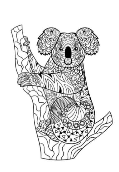 Koala Disegni Da Stampare E Colorare Immagini Pdf Gbr