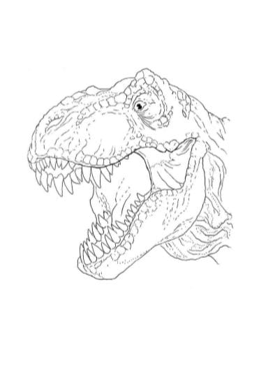 T Rex Tirannosauro Disegni Da Stampare E Colorare Scarica Pdf Gbr