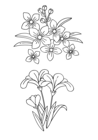 Fiori da colorare in A4 pdf immagine in bianco e nero