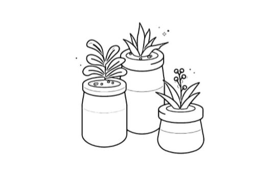 Immagine piante grasse con vaso da colorare PDF A4