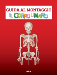 Istruzioni Montaggio Corpo Umano