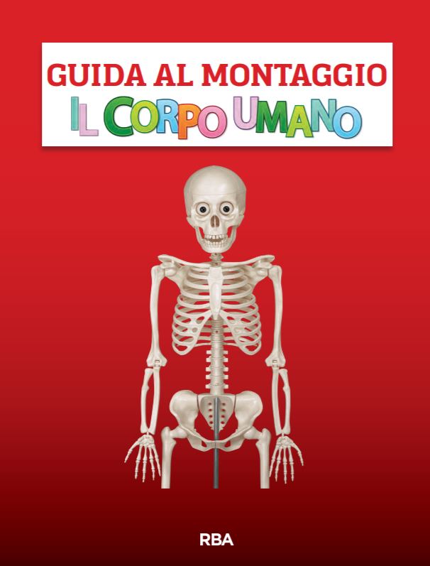 Istruzioni Montaggio Il Corpo Umano Video Tutorial E Pdf Gbr