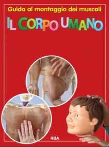 Istruzioni Montaggio Il Corpo Umano Video Tutorial E Pdf Gbr