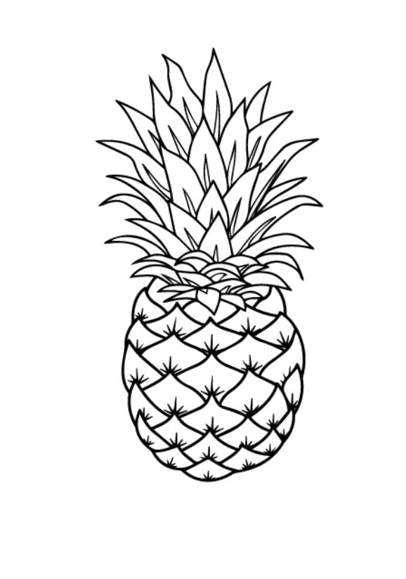 Ananas realistico da colorare PDF A4