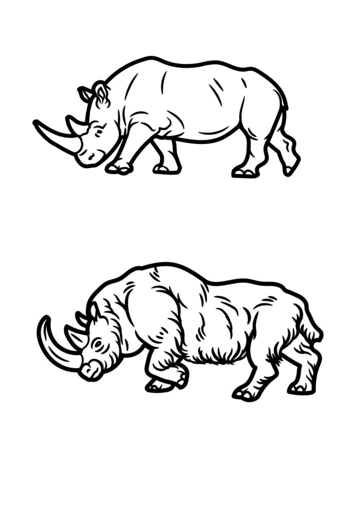 Due rinoceronti da colorare