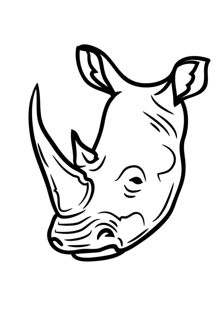 Muso di rinoceronte da colorare