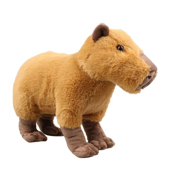 Capibara Peluche: Dove Comprare e Prezzo - GBR